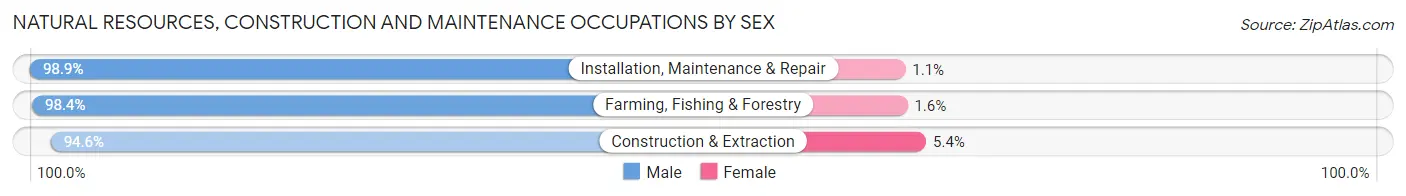 Natural Resources, Construction and Maintenance Occupations by Sex in Muscogee County
