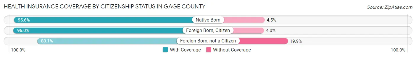 Health Insurance Coverage by Citizenship Status in Gage County