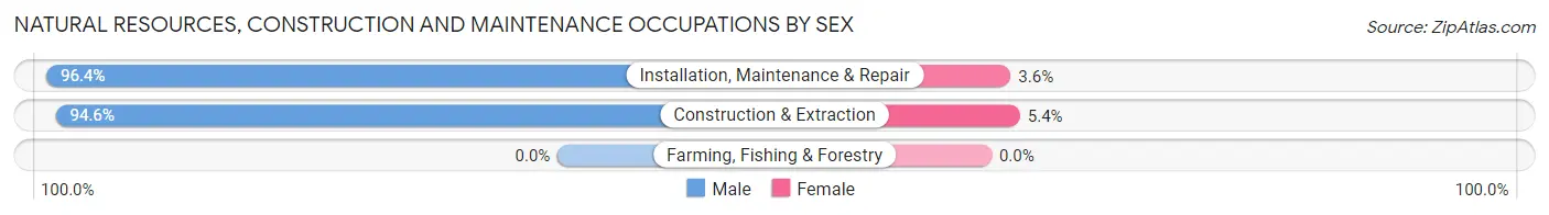 Natural Resources, Construction and Maintenance Occupations by Sex in Zip Code 03060