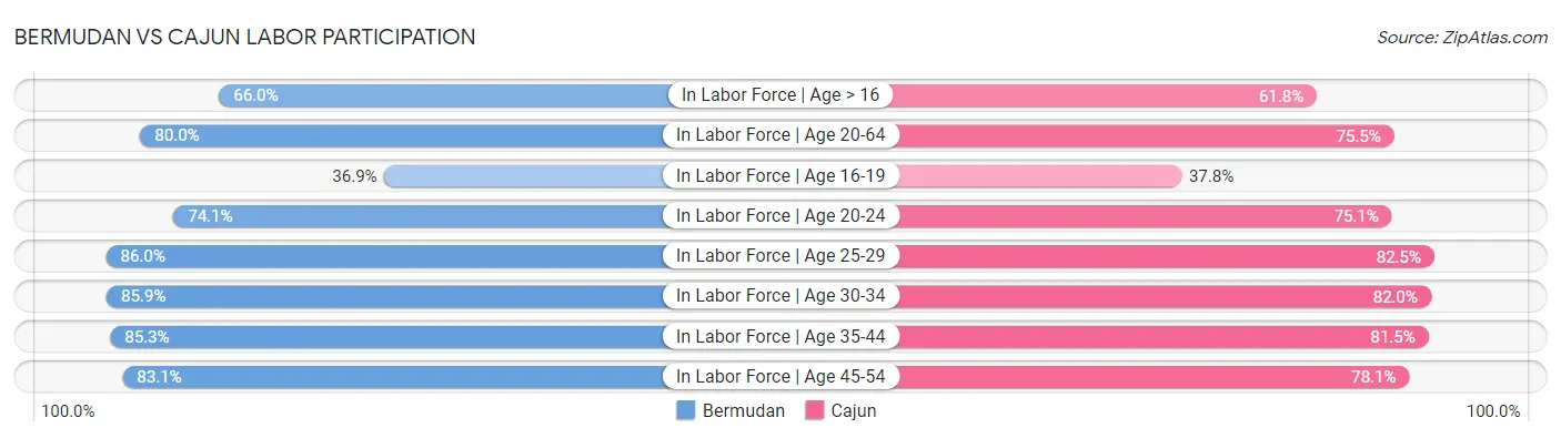 Bermudan vs Cajun Labor Participation