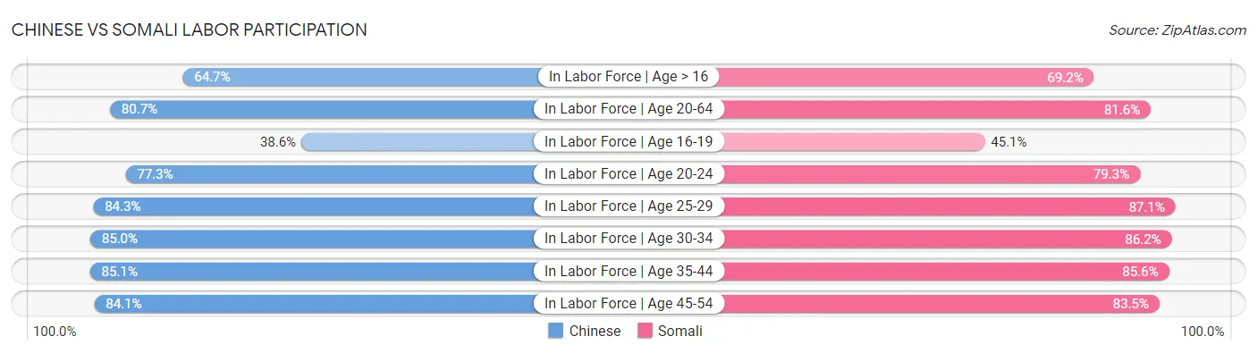 Chinese vs Somali Labor Participation