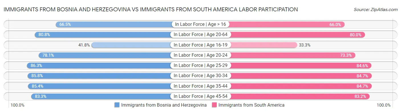 Immigrants from Bosnia and Herzegovina vs Immigrants from South America Labor Participation