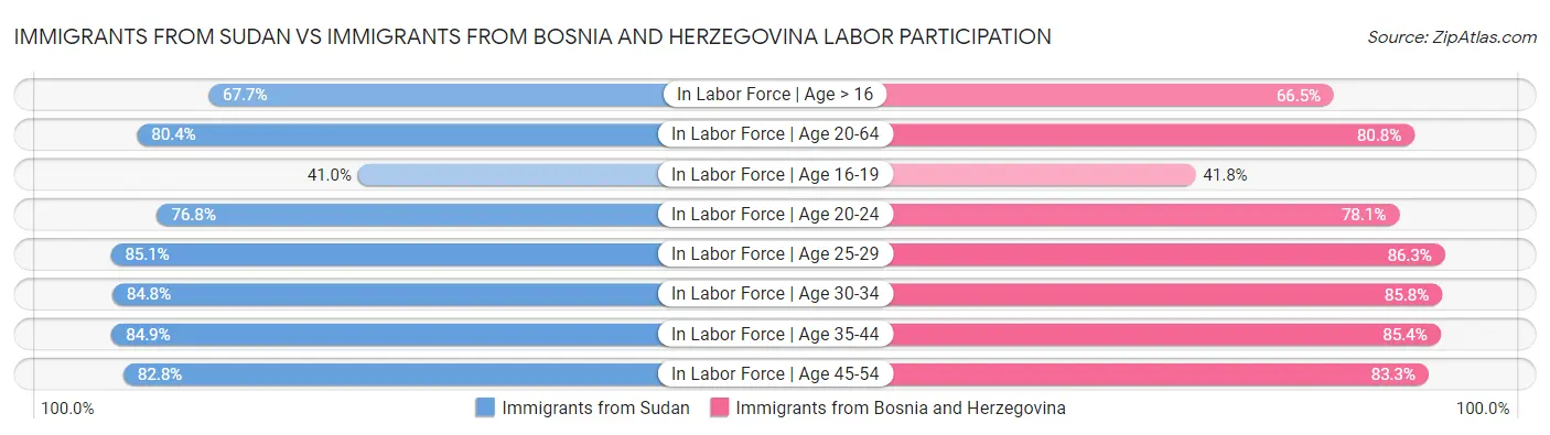 Immigrants from Sudan vs Immigrants from Bosnia and Herzegovina Labor Participation
