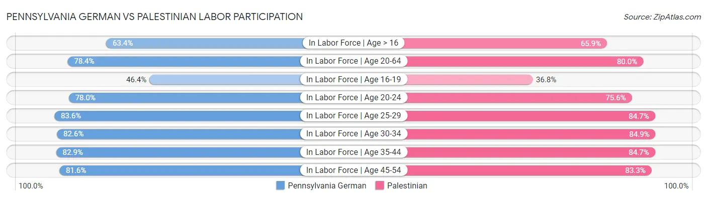Pennsylvania German vs Palestinian Labor Participation