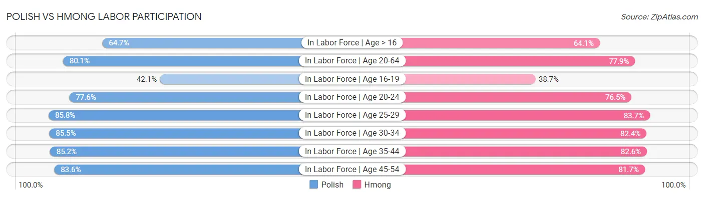 Polish vs Hmong Labor Participation