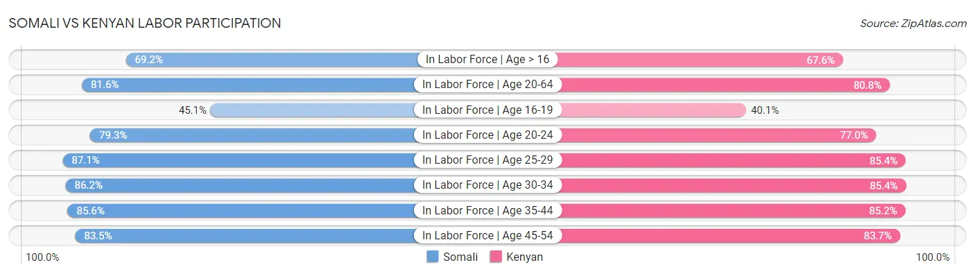 Somali vs Kenyan Labor Participation