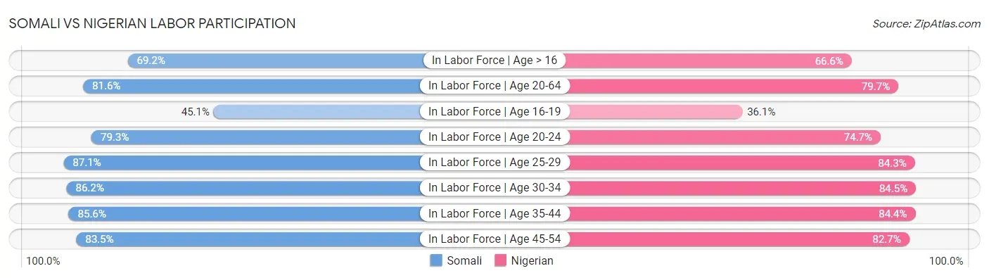 Somali vs Nigerian Labor Participation