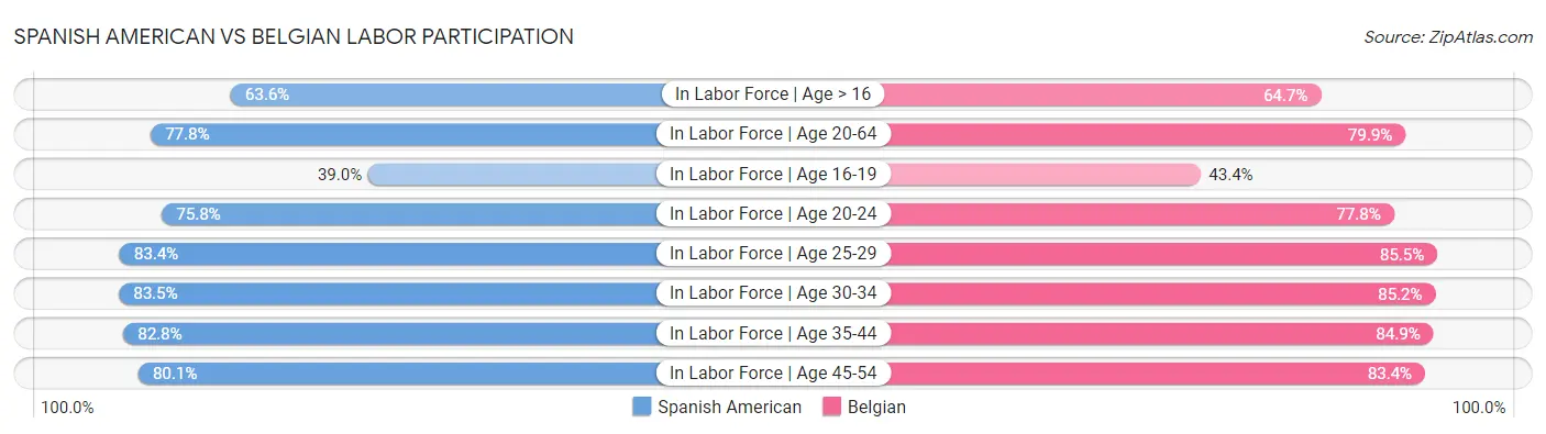 Spanish American vs Belgian Labor Participation