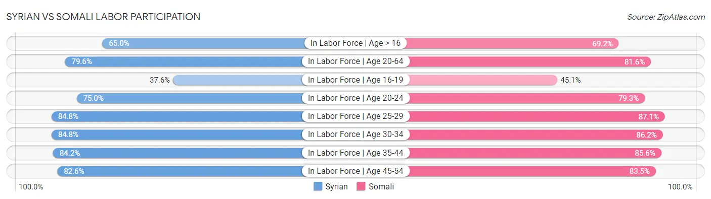 Syrian vs Somali Labor Participation