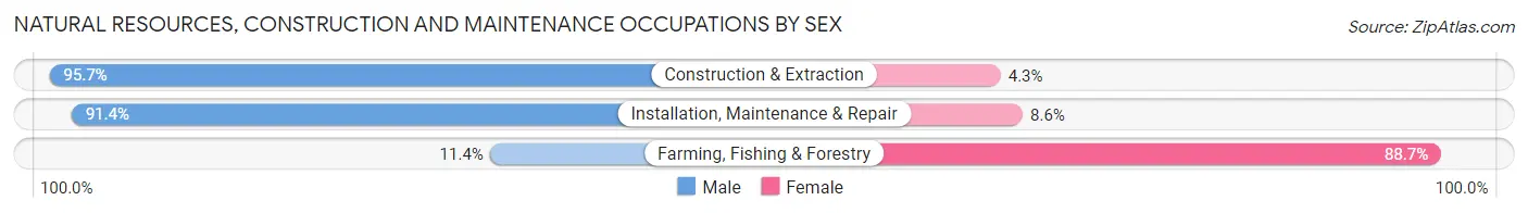 Natural Resources, Construction and Maintenance Occupations by Sex in Area Code 202