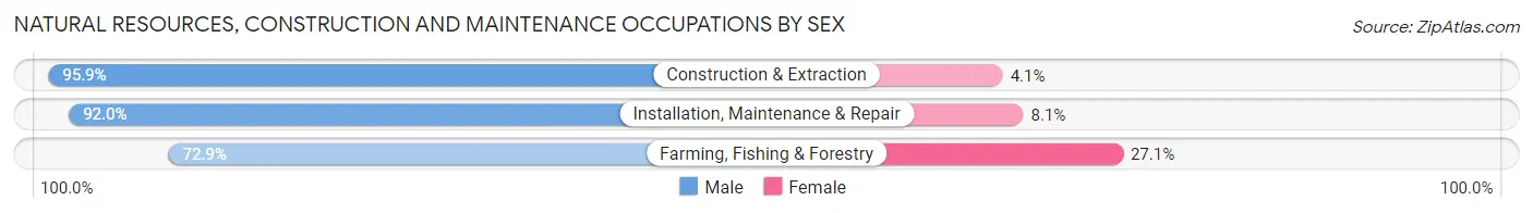 Natural Resources, Construction and Maintenance Occupations by Sex in Area Code 206