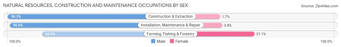 Natural Resources, Construction and Maintenance Occupations by Sex in Area Code 213