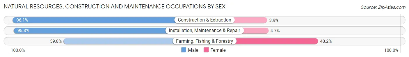 Natural Resources, Construction and Maintenance Occupations by Sex in Area Code 216