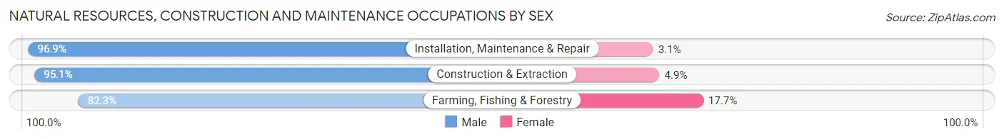 Natural Resources, Construction and Maintenance Occupations by Sex in Area Code 252