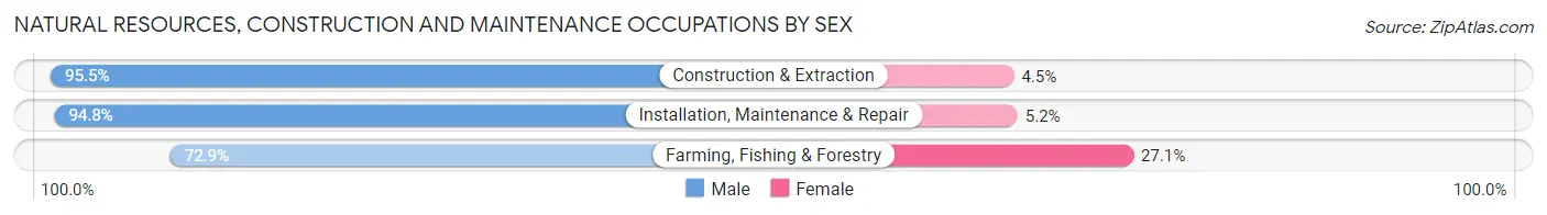 Natural Resources, Construction and Maintenance Occupations by Sex in Area Code 253