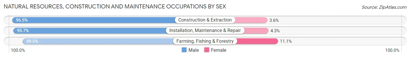Natural Resources, Construction and Maintenance Occupations by Sex in Area Code 254