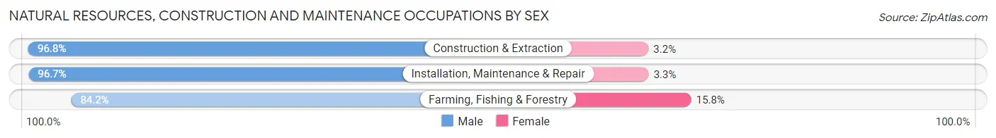 Natural Resources, Construction and Maintenance Occupations by Sex in Area Code 256