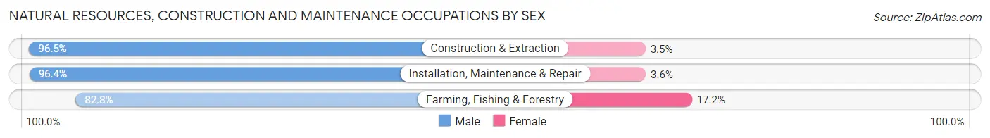 Natural Resources, Construction and Maintenance Occupations by Sex in Area Code 260