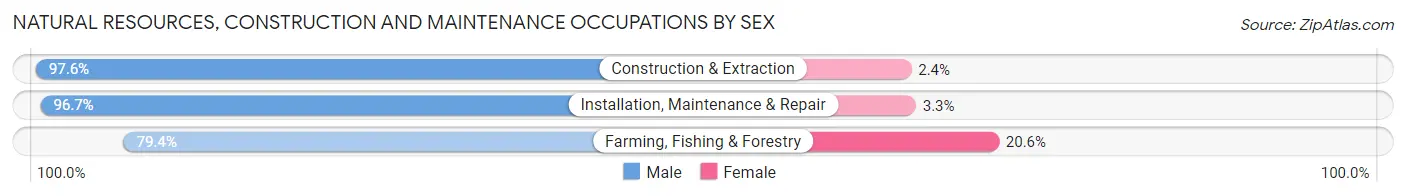 Natural Resources, Construction and Maintenance Occupations by Sex in Area Code 262