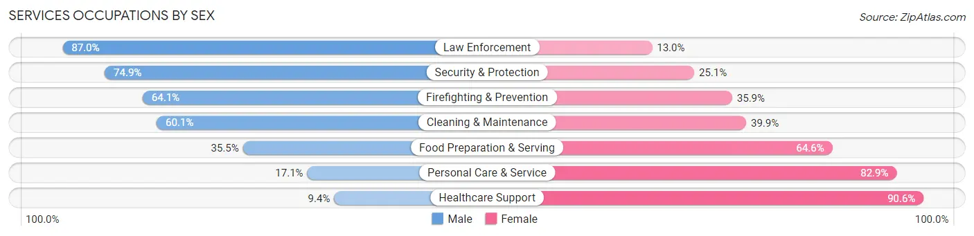 Services Occupations by Sex in Area Code 351