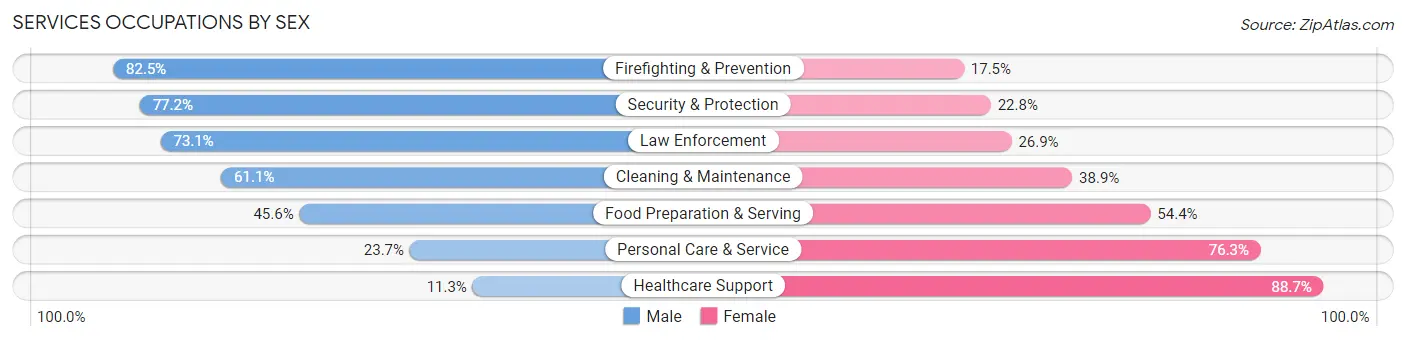 Services Occupations by Sex in Area Code 386