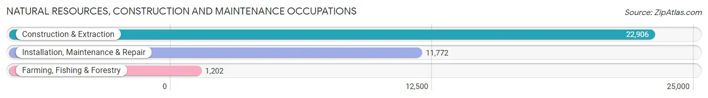 Natural Resources, Construction and Maintenance Occupations in Area Code 409