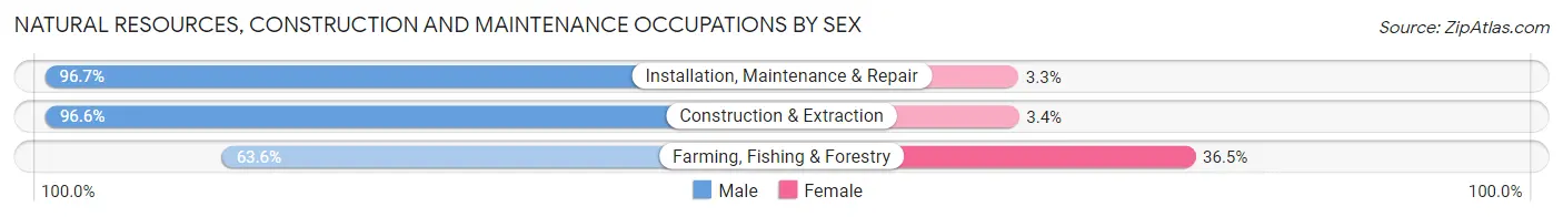 Natural Resources, Construction and Maintenance Occupations by Sex in Area Code 412