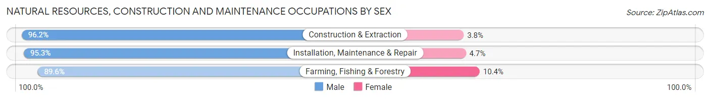 Natural Resources, Construction and Maintenance Occupations by Sex in Area Code 434