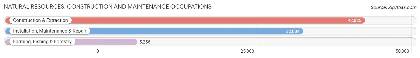 Natural Resources, Construction and Maintenance Occupations in Area Code 484