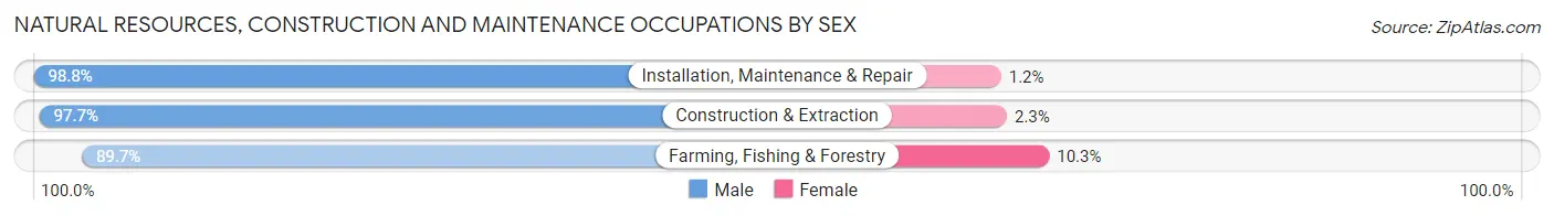 Natural Resources, Construction and Maintenance Occupations by Sex in Area Code 606