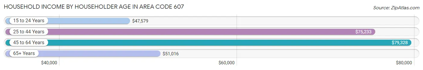 Household Income by Householder Age in Area Code 607