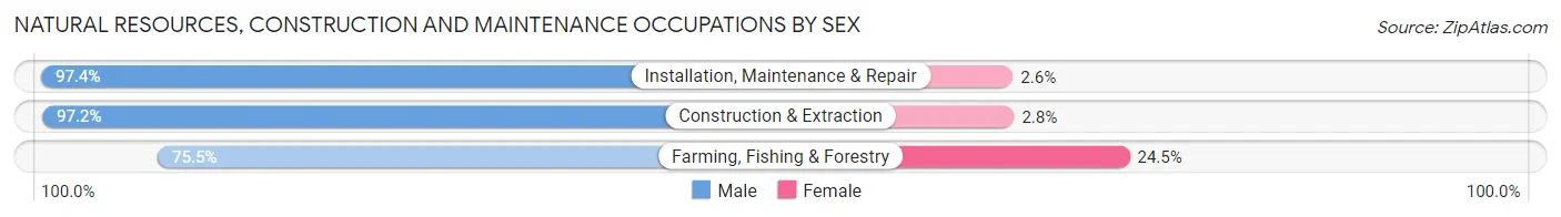 Natural Resources, Construction and Maintenance Occupations by Sex in Area Code 707