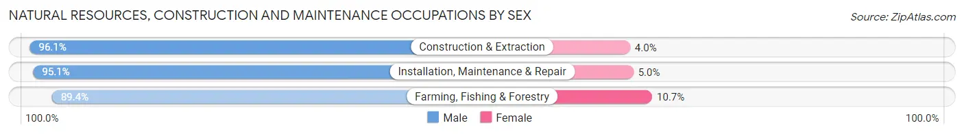 Natural Resources, Construction and Maintenance Occupations by Sex in Area Code 727