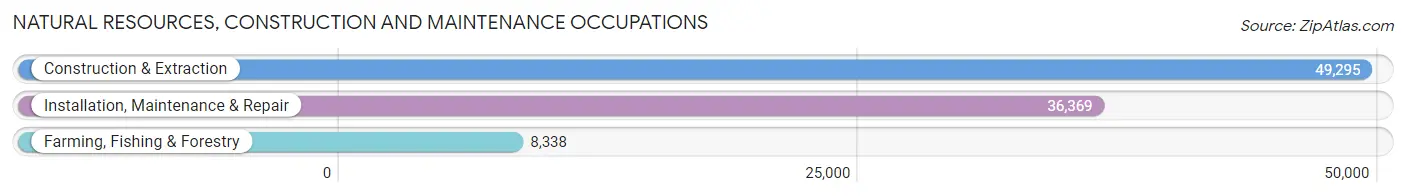 Natural Resources, Construction and Maintenance Occupations in Area Code 787