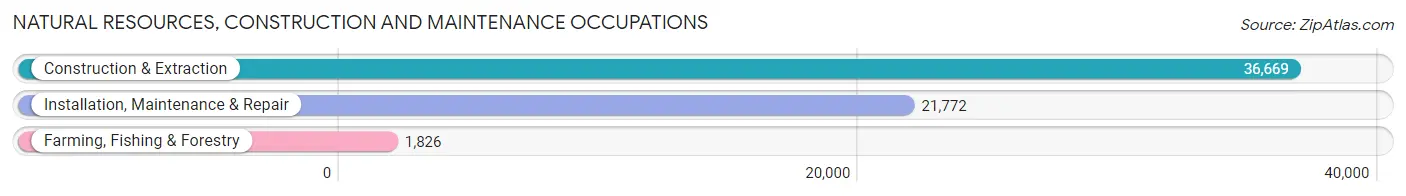 Natural Resources, Construction and Maintenance Occupations in Area Code 804