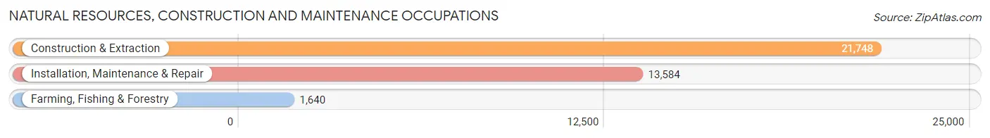 Natural Resources, Construction and Maintenance Occupations in Area Code 810