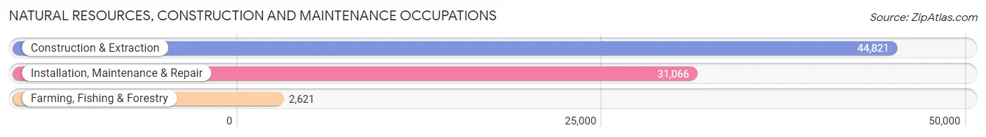 Natural Resources, Construction and Maintenance Occupations in Area Code 843