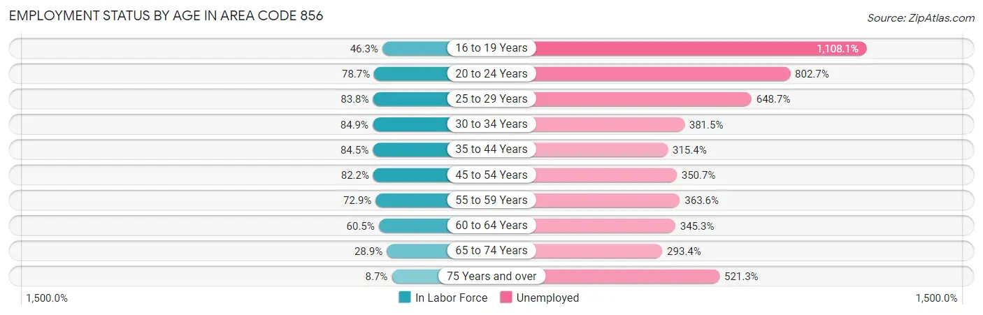 Employment Status by Age in Area Code 856