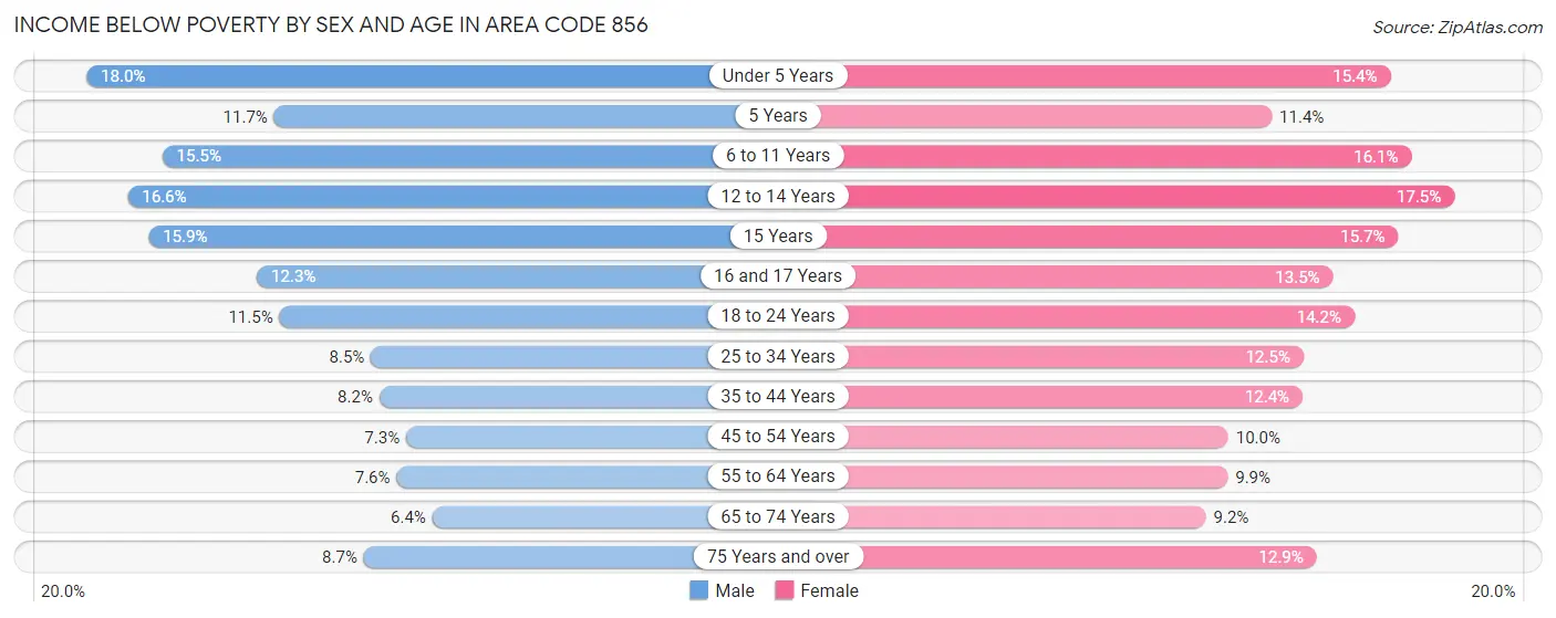 Income Below Poverty by Sex and Age in Area Code 856