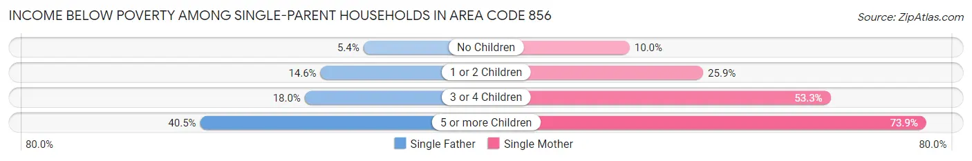 Income Below Poverty Among Single-Parent Households in Area Code 856