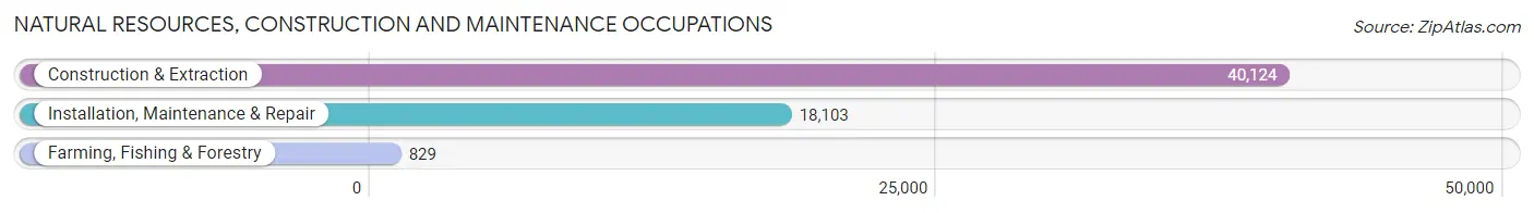 Natural Resources, Construction and Maintenance Occupations in Area Code 862