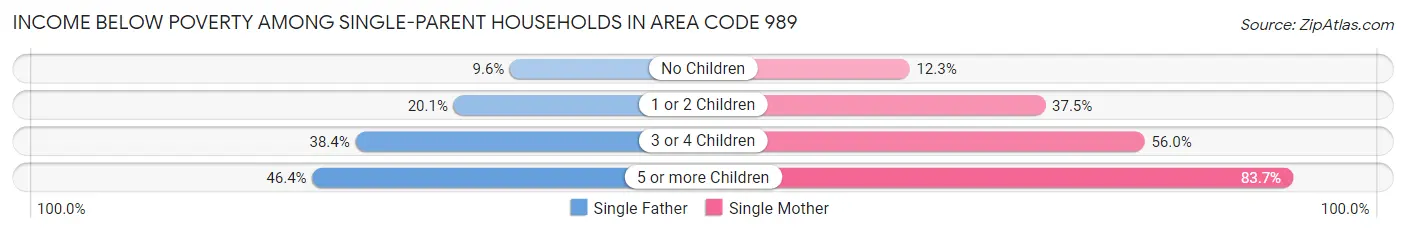 Income Below Poverty Among Single-Parent Households in Area Code 989