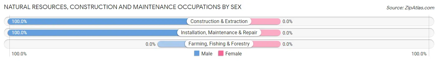 Natural Resources, Construction and Maintenance Occupations by Sex in Akiak