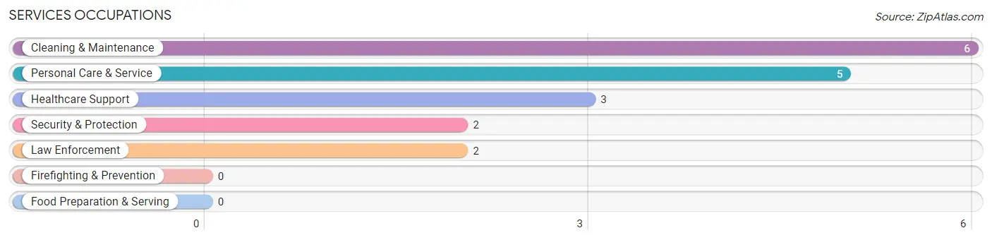 Services Occupations in Akiak