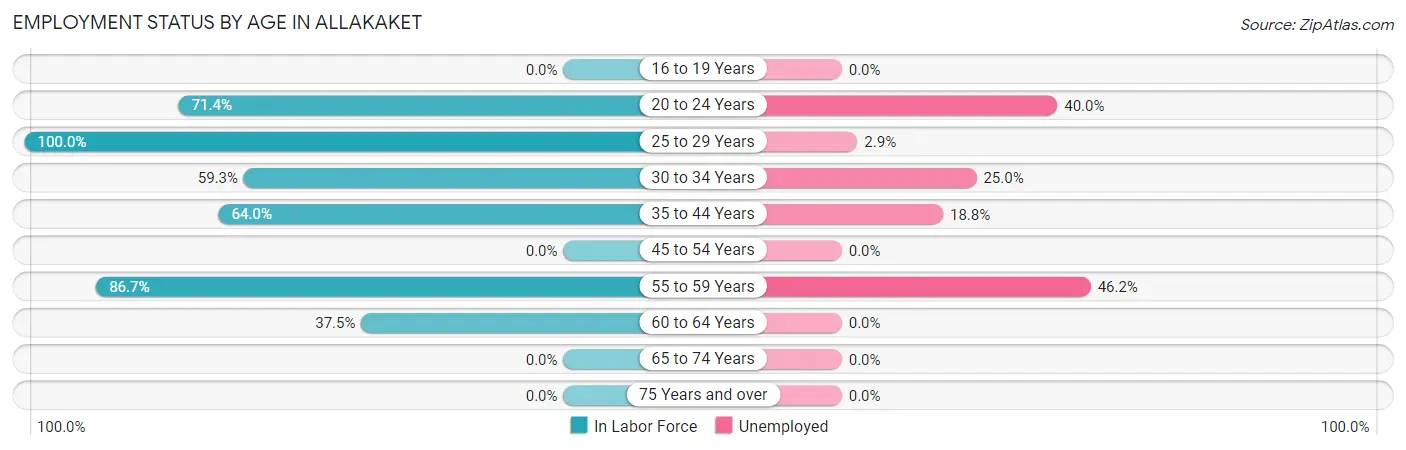Employment Status by Age in Allakaket