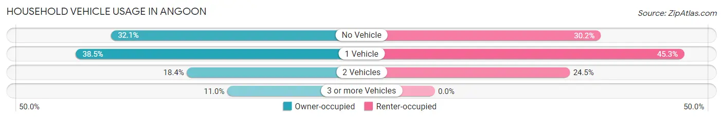 Household Vehicle Usage in Angoon