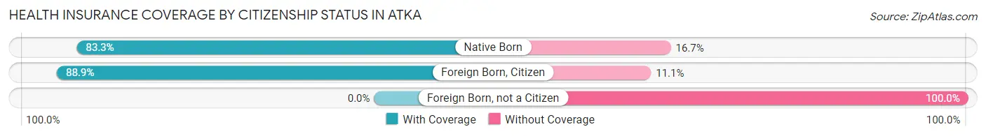 Health Insurance Coverage by Citizenship Status in Atka