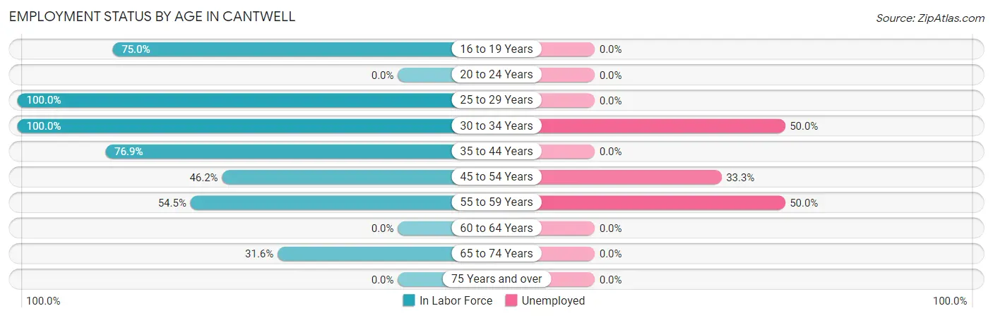 Employment Status by Age in Cantwell