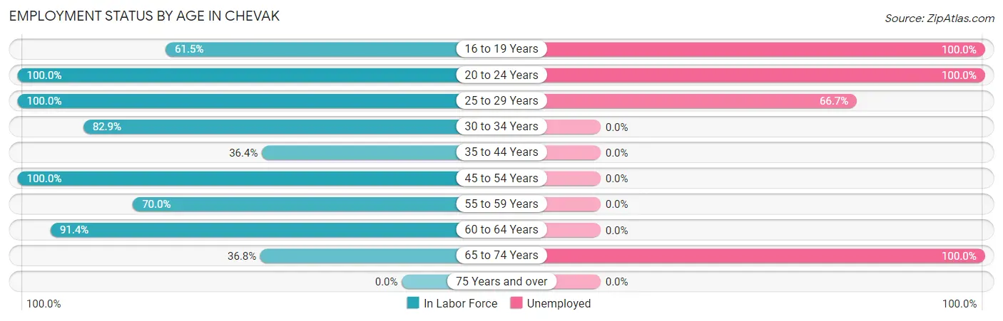 Employment Status by Age in Chevak