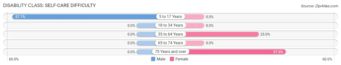 Disability in Circle: <span>Self-Care Difficulty</span>